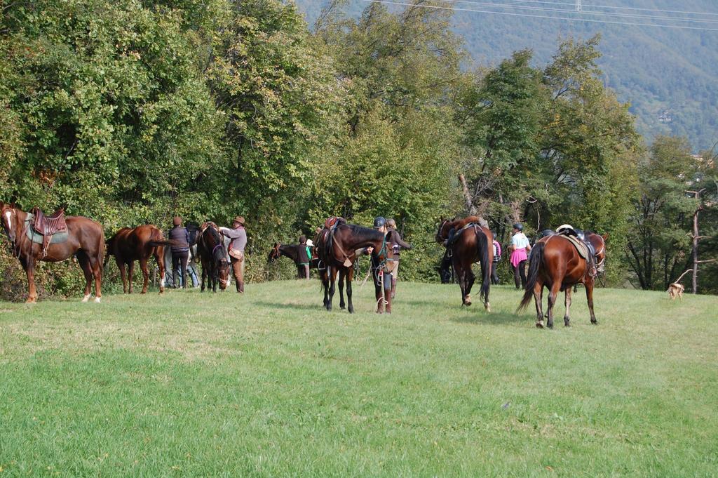 Agriturismo Casa Del Castagneto Гарньяно Номер фото