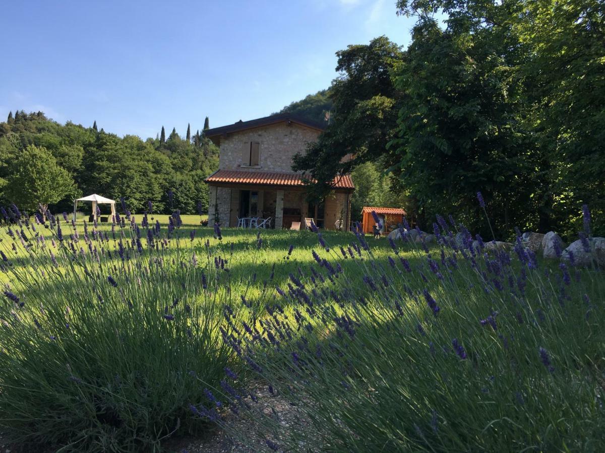 Agriturismo Casa Del Castagneto Гарньяно Экстерьер фото